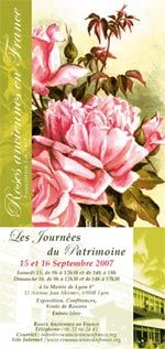 Roses anciennes en France. Lyon