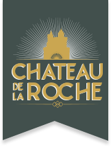 chateau de la roche